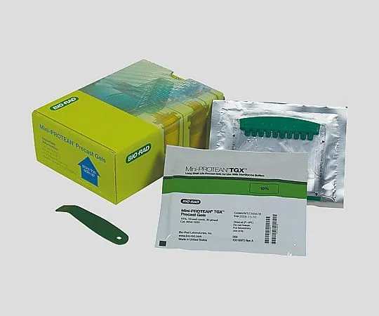 2-6074-01　Pre-Cast Gel for Electrophoresis　4568021