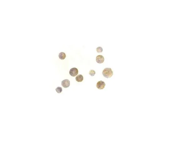 62-8458-94　Anti-TACI　ABC847