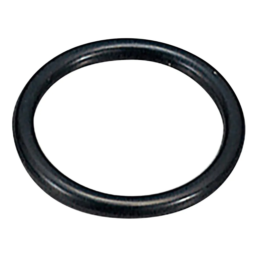 1-8176-01　King Perfluoro O-Ring φ2.8mm　P-3-300