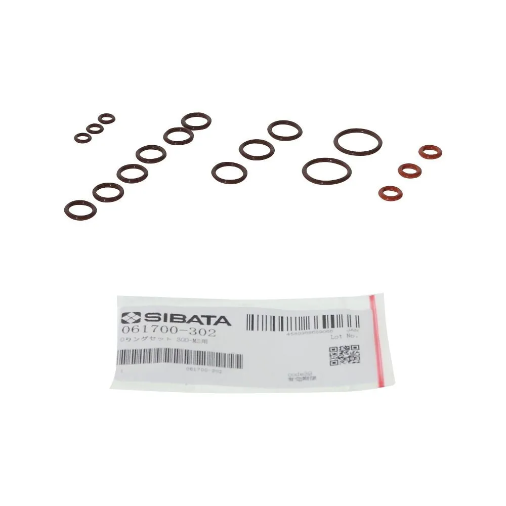 65-3693-31　O-Ring Set for 300 MS　061700-302