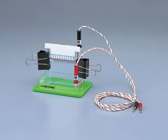 2-5021-01　Mini Gel Slab Electrophoresis Apparatus IEP1010　IEP-1010