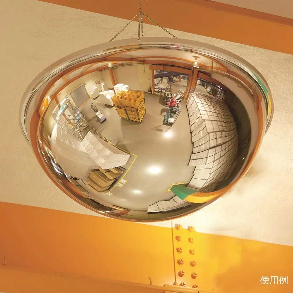 6-8068-03　Dome Mirror　D100