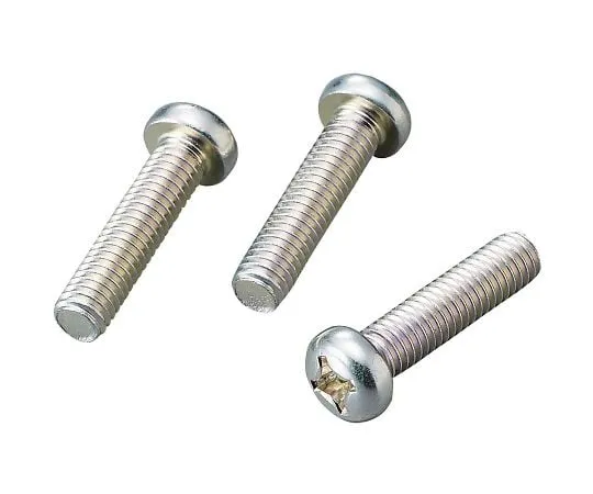 4-289-01　(+) Pan Head Screw Iron (Trivalent White) 100 Pieces　M2×2