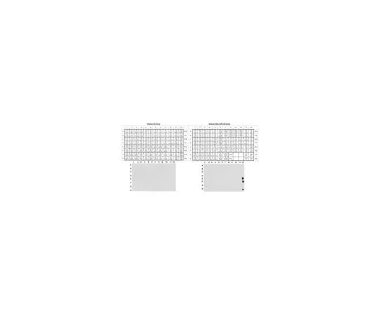 62-8388-11　Anti-monomethyl Histone H4 (Lys20), Trial Size　07-1570-S