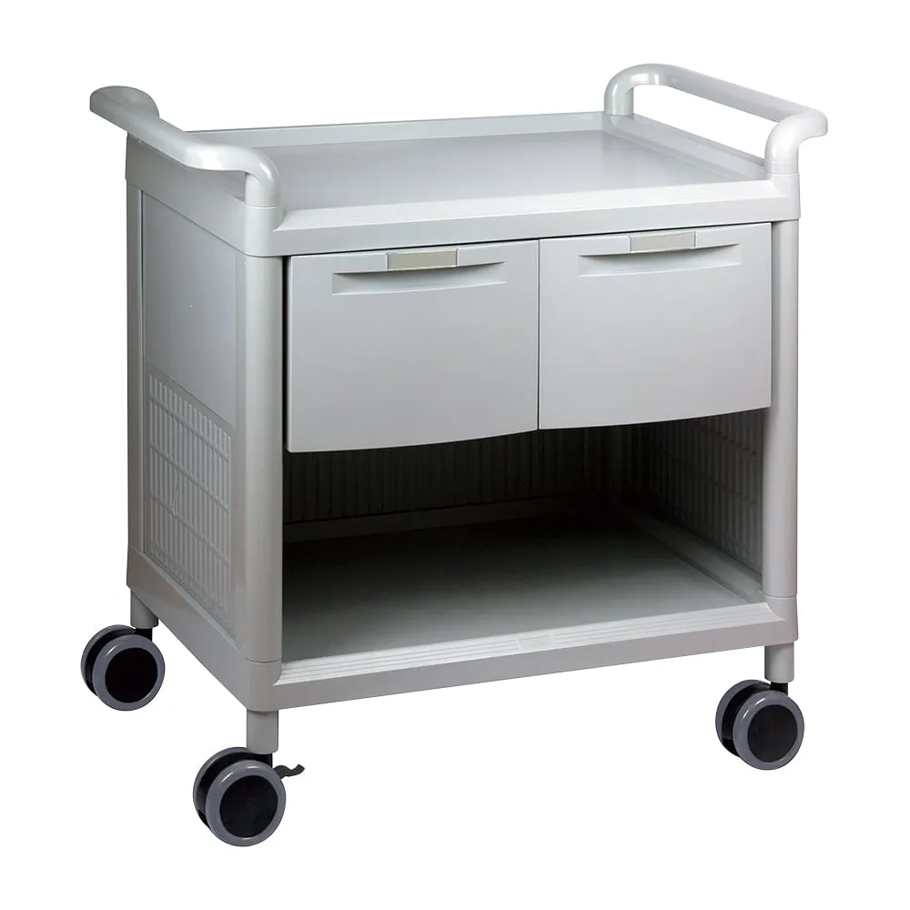 3-6501-01-71　2004 Washboard Small ABS Gray