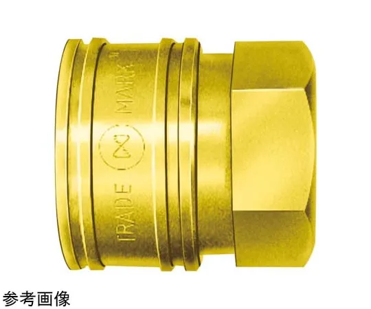 65-9007-20　［Discontinued］TSP Coupler Screw Size R3/8 Brass 90 g　3TSFBRASSFKM