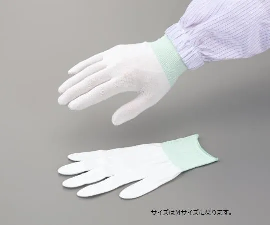 1-3910-11　ASPURE SILVIX Gloves Ⅱ S　-