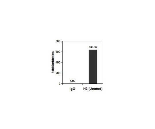 62-8374-75　Anti-Histone H3 (Unmodified Lys4), clone CMA301,Trial Size　05-1341-S