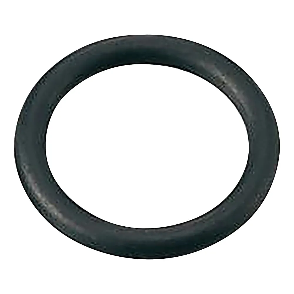 2-743-01　Kalrez O-Ring　P-3