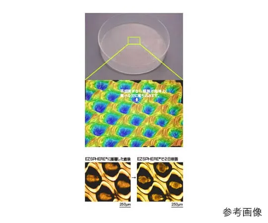 61-9713-26　EZSPHERE (Spheroid Formation Culturing Container) Dish 35mm 10 Pieces　4000-900