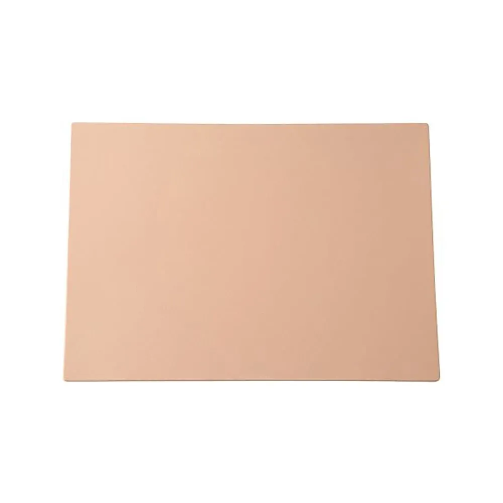 4-1492-01　Bio Skin Plate A4 Size Urethane Rough　H077-002#BSC
