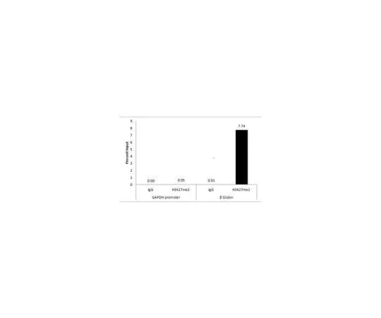 62-8384-97　Anti-dimethyl-Histone H3 (Lys27) Antibody　07-421-I