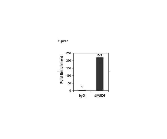 62-8394-82　ChIPAb+(TM) JMJD6; 25 assays　17-10263