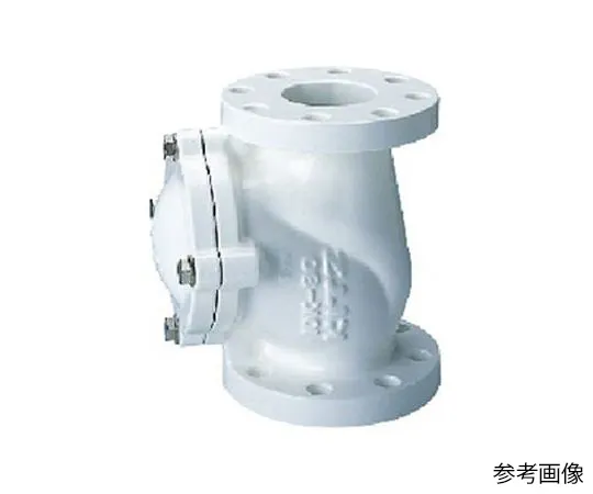 65-1887-40　Cast Iron nylon 11 Lining ball chucking valve (10 FCFTN) Nominal Diameter 40 mm　10FCFTN40A