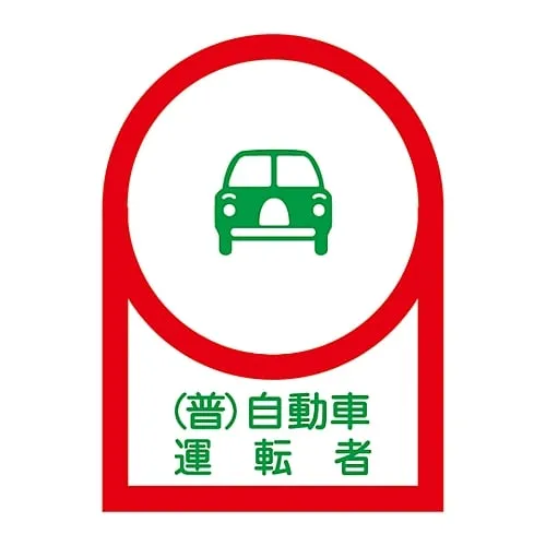 61-3422-20　Sticker For Helmet Ordinary Motor Vehicle Driver HL-38　233038