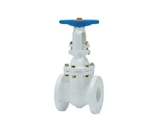 65-1887-17　Cast Iron nylon 11 Lining JIS Standards gate valve (10 FCLN) Nominal Diameter 50 mm　10FCLN50A