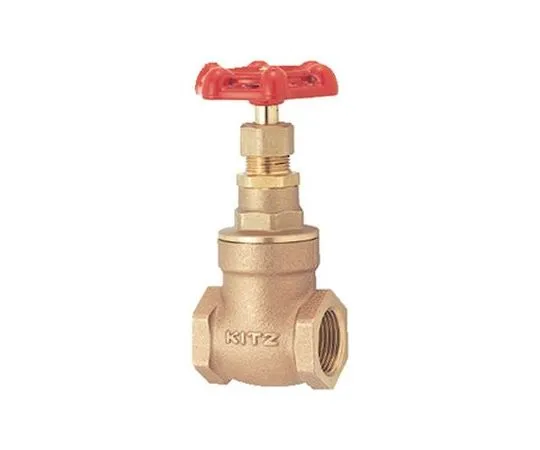 65-1888-69　General Purpose Gate Valve (E) Nominal Diameter 10 mm　E10A