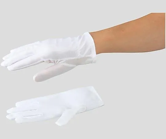 2-8604-01　ASPURE Dust-Free Gloves Polyester S 12 Pairs　BPH-U