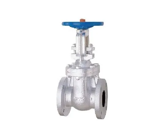 65-1886-65　Cast Iron JIS Standards Gate Valve (5 FCM) Nominal Diameter 50 mm　5FCM50A