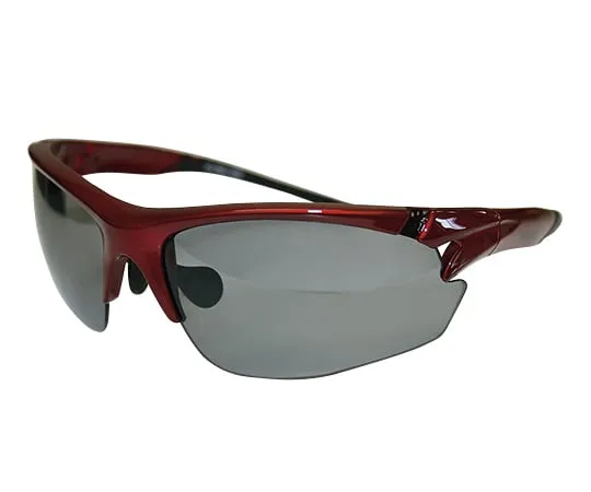 3-7446-04　Protective Glasses Gray　Bleez METALLIC