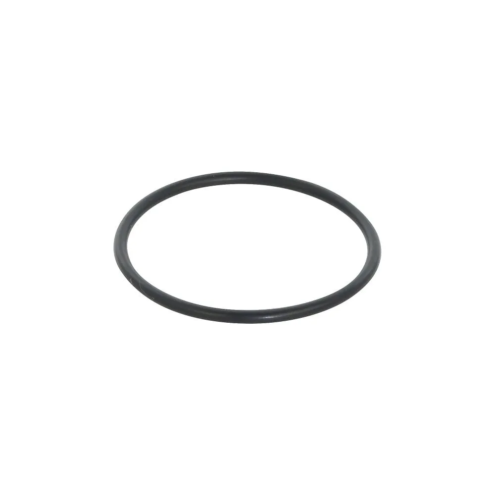 61-4429-61　O-Ring Perfluor for CP-300 φ47　054330-3100
