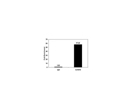 62-8393-72　ChIPAb+ Acetyl-Histone H3 (Lys9) Purified; 25 assays　17-658