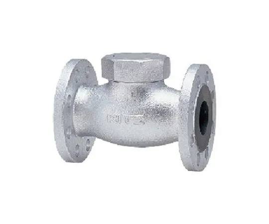 65-1882-31　Ductile Iron Lift Chucking Valve (16 SFB) Nominal Diameter 25 mm　16SFB25A