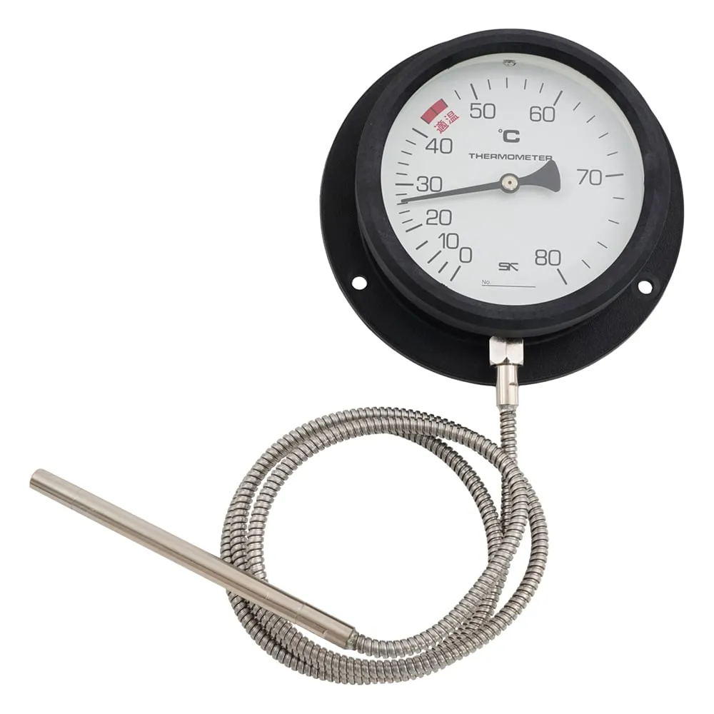 1-2584-01-56　Wall-mounted Spatial Thermometer 0 ~ 80℃ with English Calibration Certificate　VB-100P