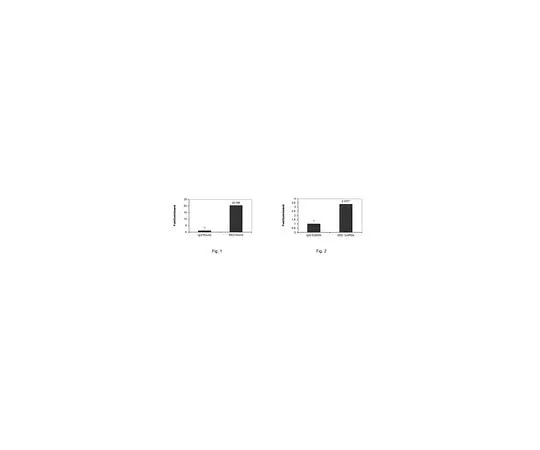 62-8389-90　Anti-EED; 100 μg　09-774