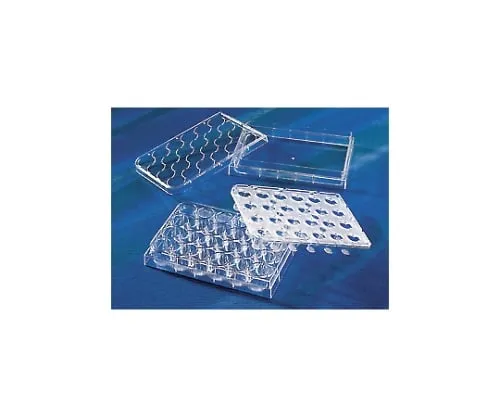 61-4688-18　Transwell Insert Integrated Type 24 Wells 0.4μm, Cell Cultivated Surface Treatment Processed (Individual)　3396