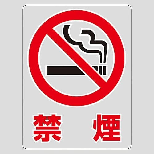 61-3412-82　Transparent Sticker NO SMOKING TM-2M　207102