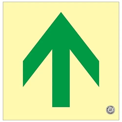 61-3397-43　Medium Luminance Phosphorescent Type Direction Sign On The Floor ↑ Floor 16　70016