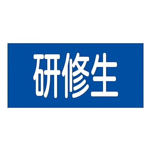 61-3430-11　Rubber Armband Trainees GW-13L　139613