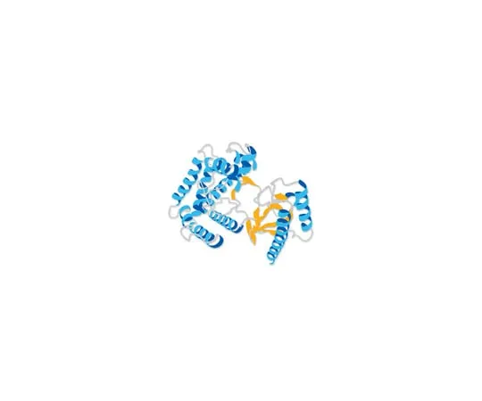 62-8364-23　Heregulin-β, EGF Domain; 100 μg　01-201