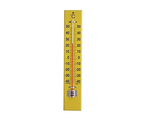 61-0065-57　Large Wooden Thermometer SK Expression 45 Type　1530-10