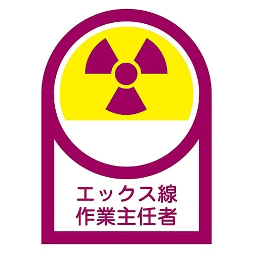 61-3381-96　Sticker For Helmet X-Ray Operation Chief HL-62　233062