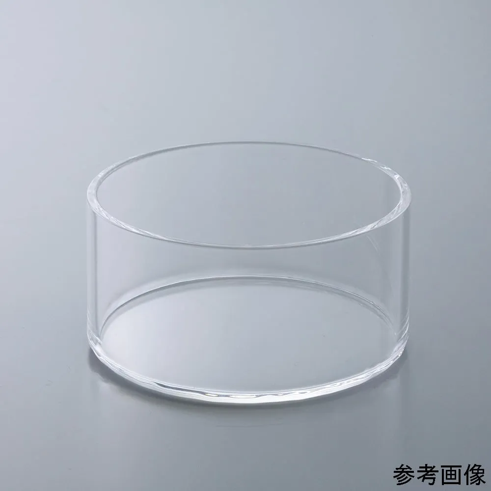 4-6489-01　Quartz Crystal Dish 50 mL　QCD05