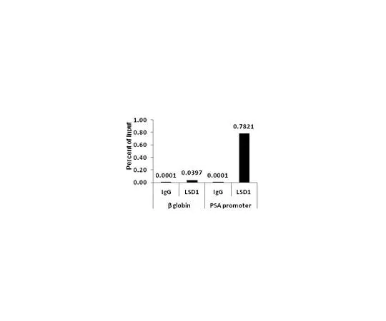 62-8395-20　ChIPAb+ LSD1 (KDM1A) Antibody - ChIP Validated Antibody and Primer Set　17-10531