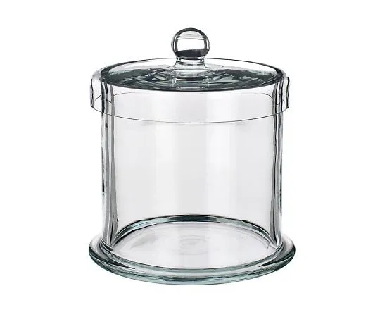 3-8258-04　Storage Bottle (Silica Glass)　No.4