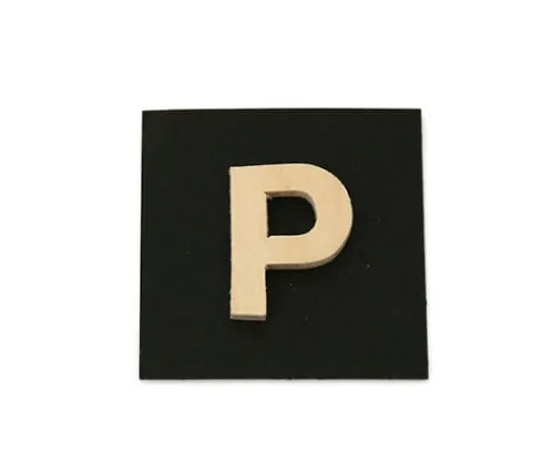 61-7390-67　P Set P　PSB25-P