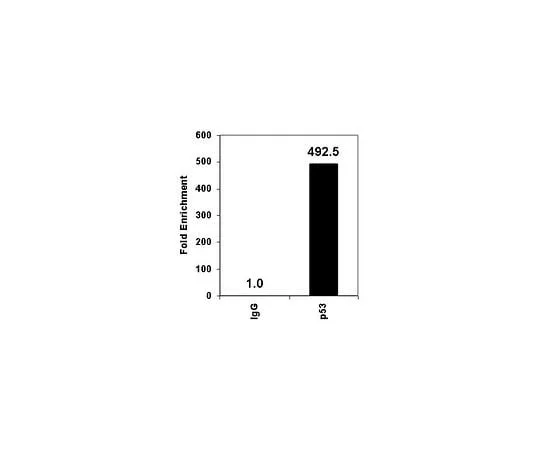 62-8393-57　ChIPAb+ p53; 25 assays　17-613