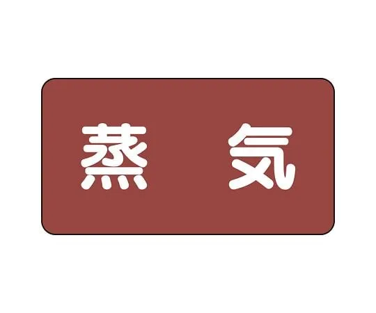 62-6158-40　JIS Piping Identification Sticker AS Type Steam (Medium) 1 Set (10 Pieces)　AS-2L