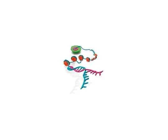 62-8393-56　Magna ChIP(TM) G Chromatin Immunoprecipitation Kit; 22 assays　17-611
