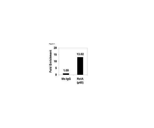 62-8394-06　ChIPAb+ NFκB p65 (RelA); 25 assays　17-10060
