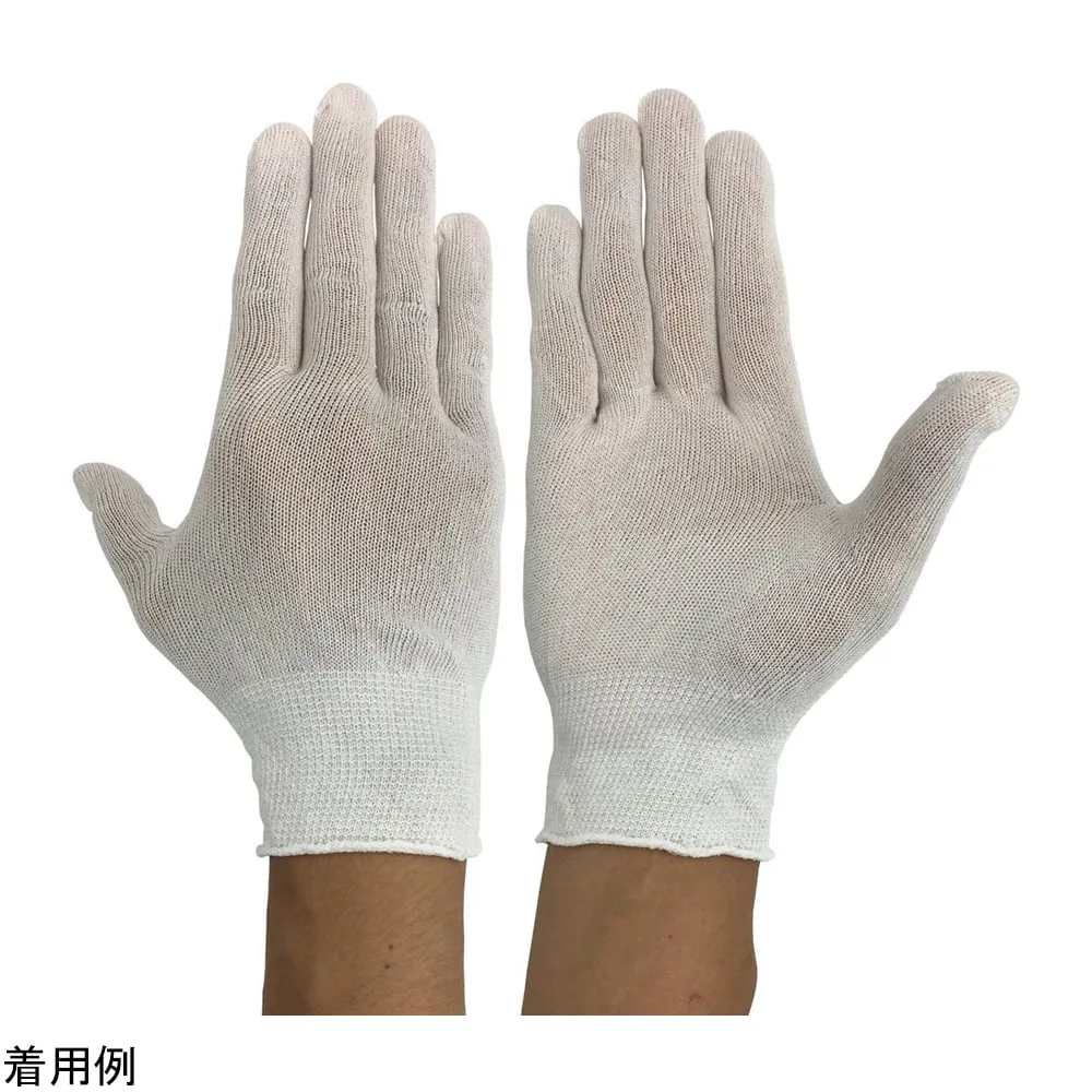 4-5165-01　Cupra Gloves, 5 fingers, normal, 10 pairs　WS-6500