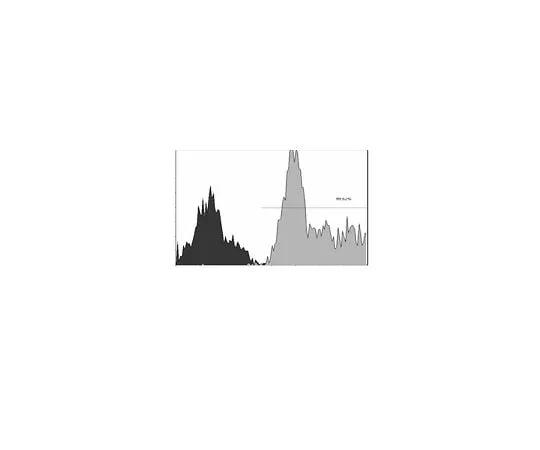 62-8392-36　Anti-ZAP-70, clone 2F3.2, FITC conjugate; 100 μg　16-210
