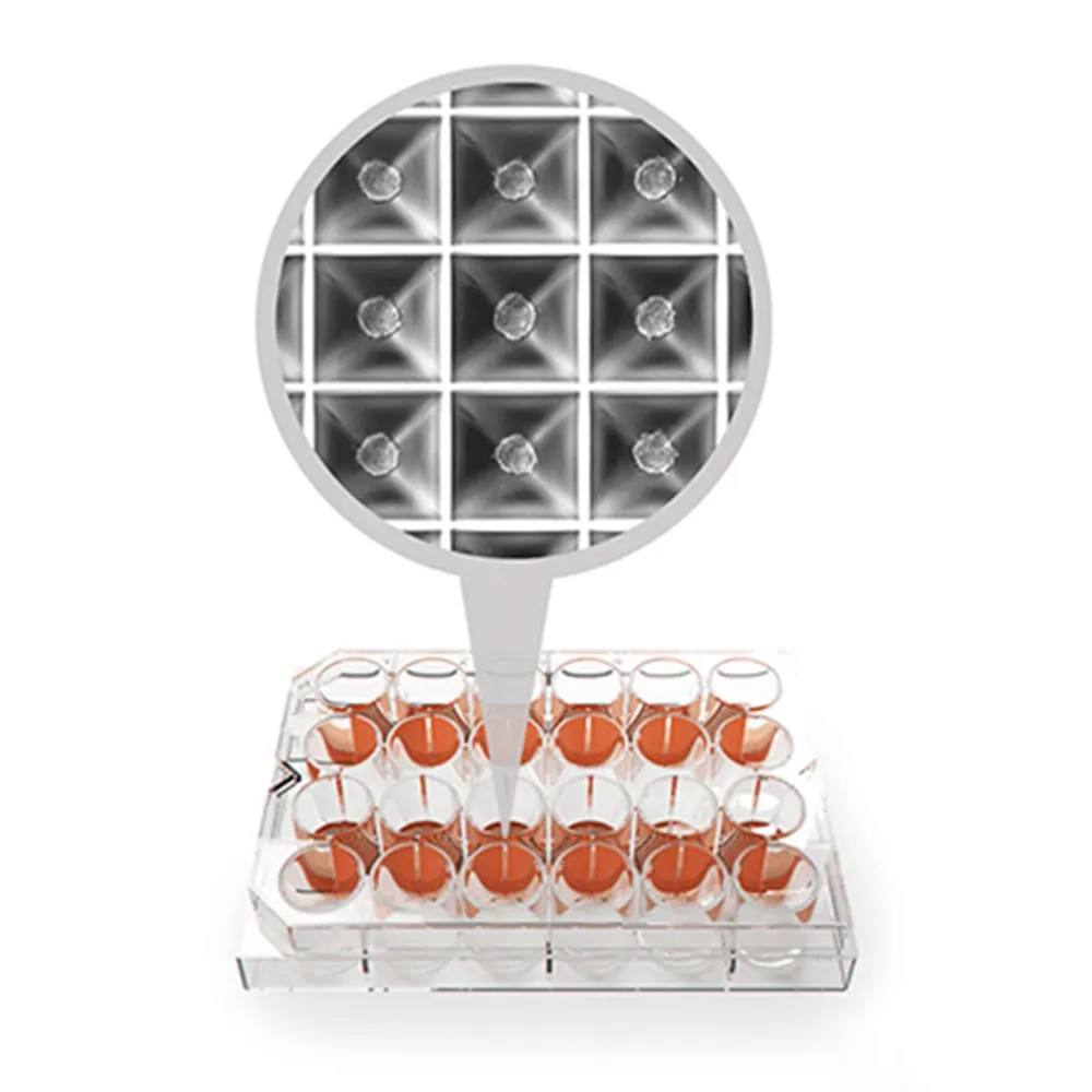 4-1318-01　Spheroid production culture plate　SPHERICAL PLATE 5D