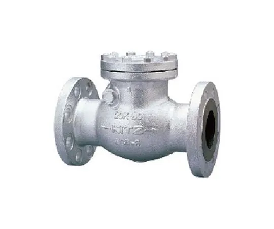 65-1881-77　Ductile Iron Swing Chucking Valve (20 SOB) Nominal Diameter 50 mm　20SOB50A