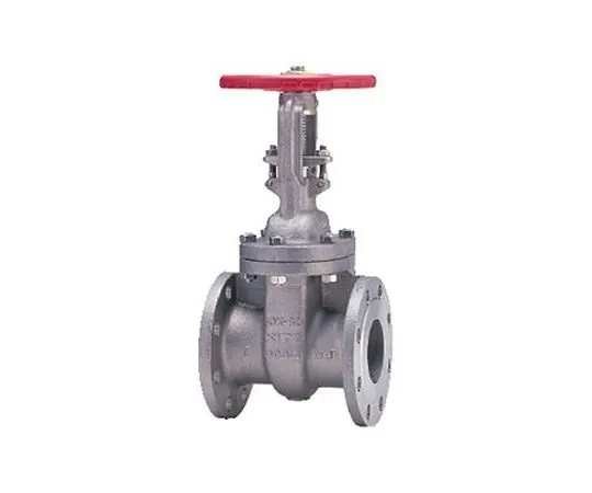 65-1877-58　Gate Valve (10 UMAT) Nominal Diameter 25 mm　10UMAT25A