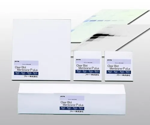 61-3733-53　PVDF Filter for Blotting Clear Blot P + Filter　2322450/WSE-4050